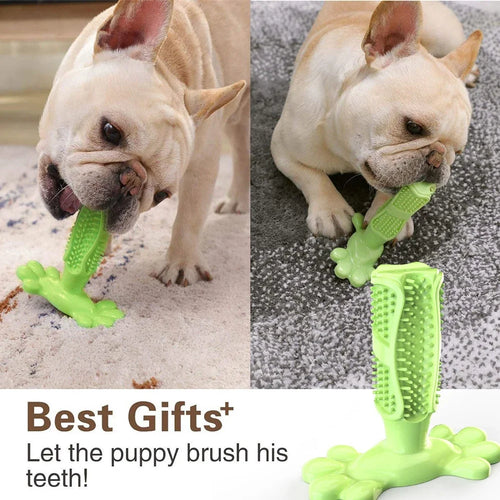 Dog Dental Chew Toy