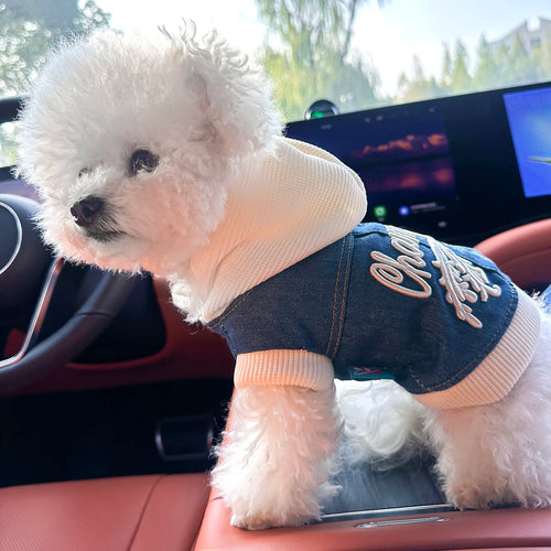 Blue Embroidered Champion Hoodie for Dogs & Cats